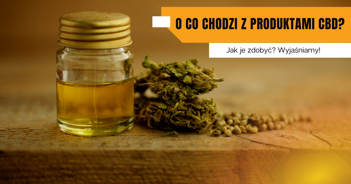 Podatek od konopi. Ile się należy? Sprawdzamy!